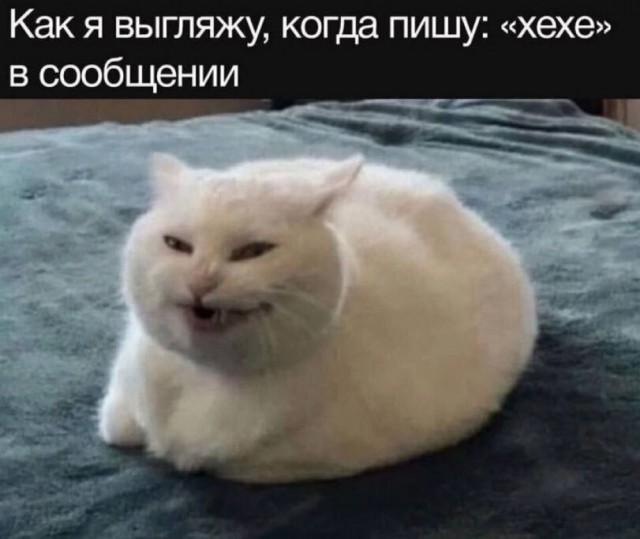 Грусть-тоска одолевает? Ебанина поспевает!
