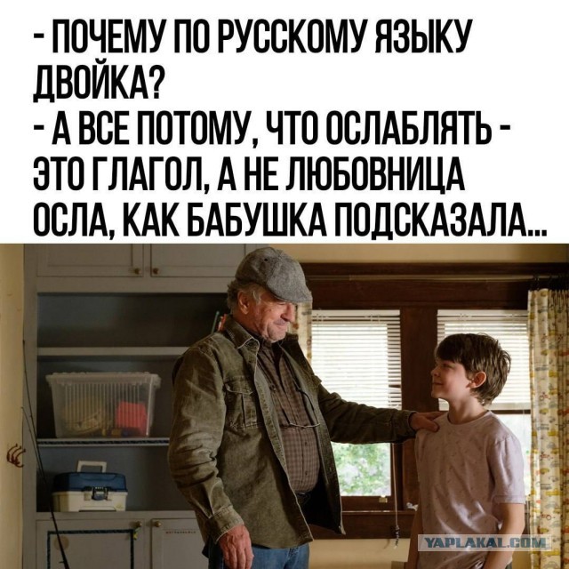 Картинки для деградации 51 (разной степени свежести)
