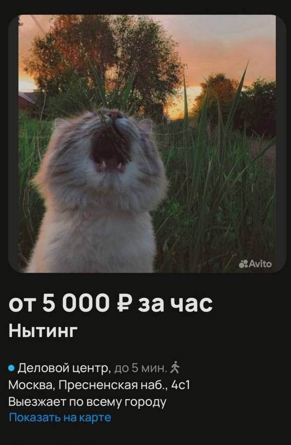 Нытинг