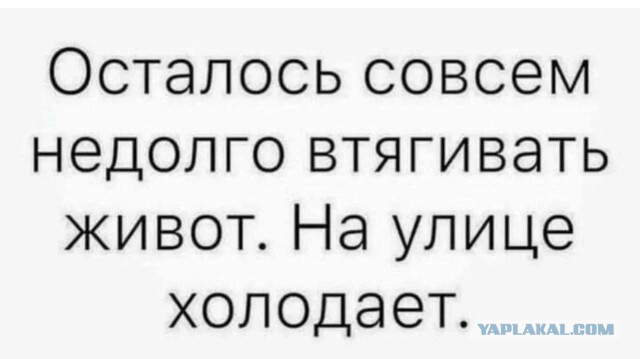 Картинки для бодрости духа