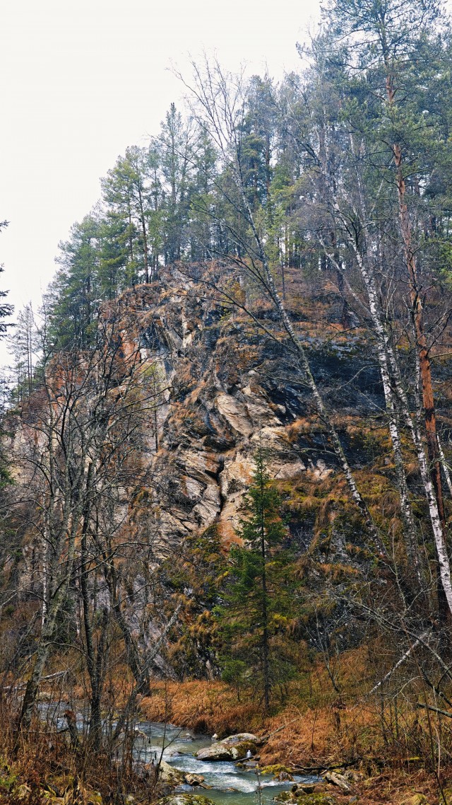 Айгир