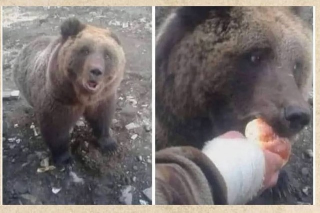 Всë бухаете, коллеги?