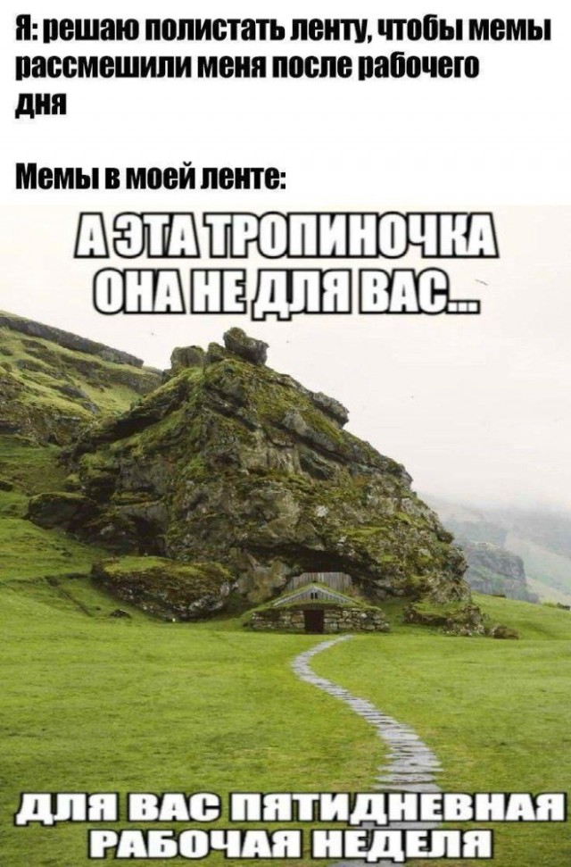 Картиночки, баянчики 17 января