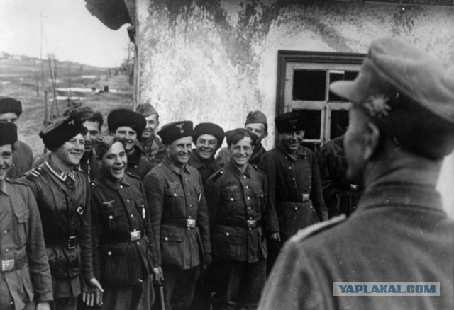 ГОСТ не врет: из чего на самом деле делали колбасу в СССР