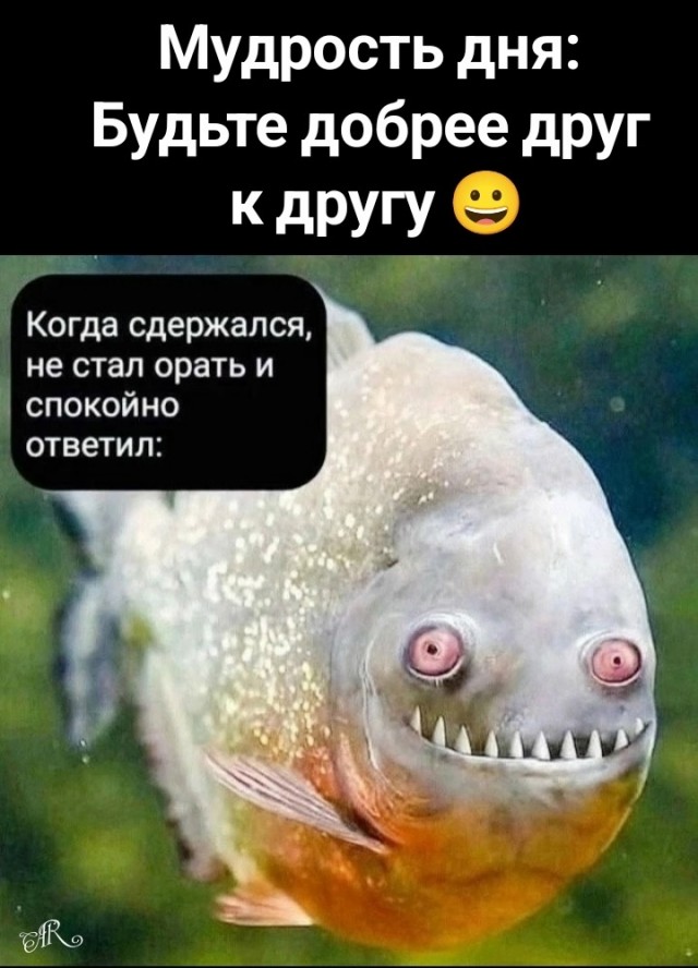 Вторника картинки