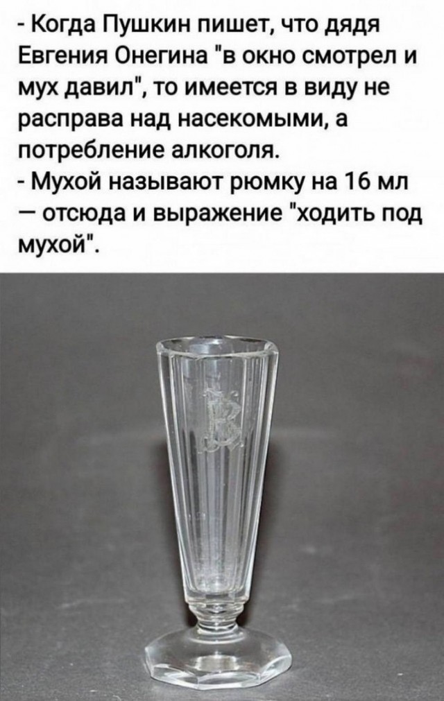 Веселые картинки в маленькую пятницу (10.06)