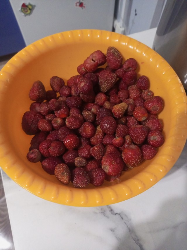 Середина июня