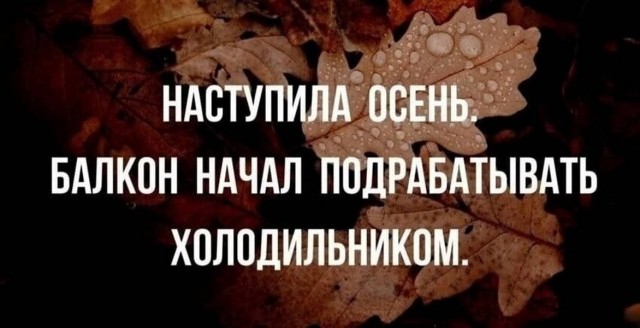 Вместо мозга — аппендикс