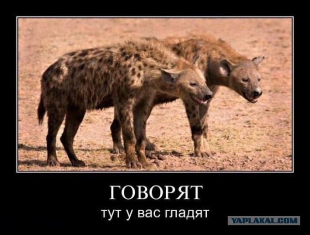 Сексуальное просвещение или тюрьма