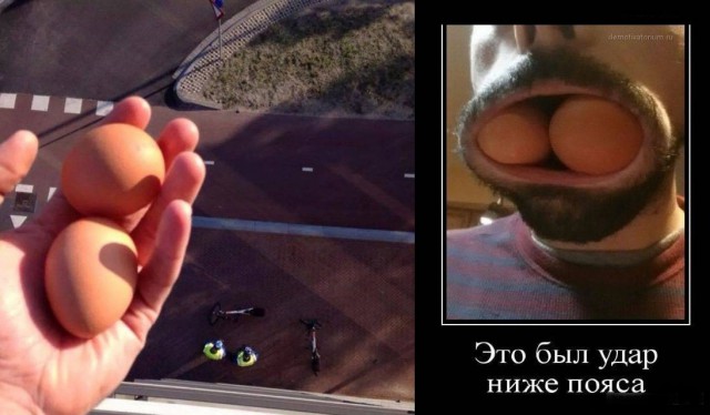 Картинки