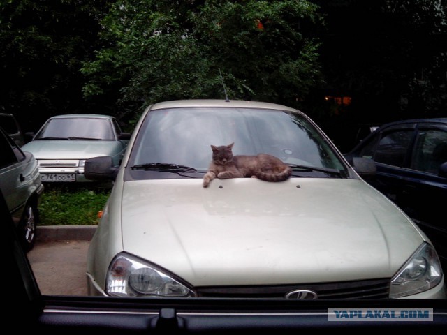 Ростов-на-Дону