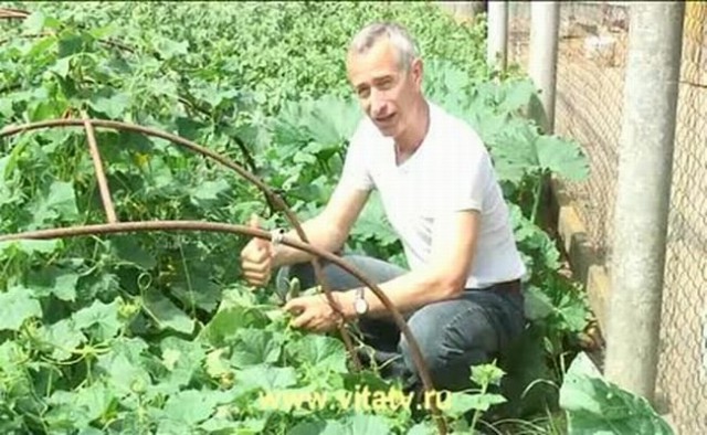 Тамбовский волк тебе товарищ...