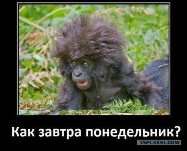 Лучше пятница тринадцатое, чем понедельник 13.