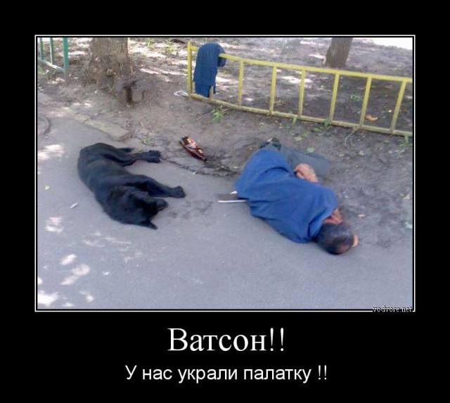 Алкопост.