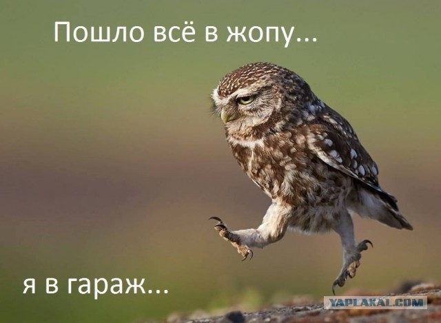 Папа, дочь тебя будет любить!