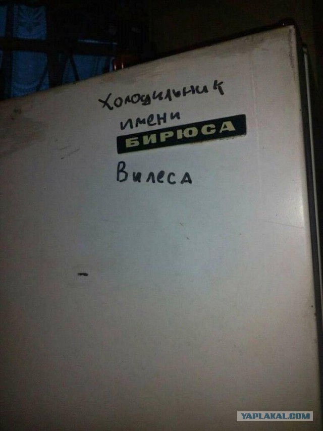 Весёлые картинки