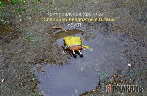 Шокирующее убийство