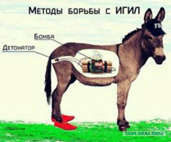 Как вам задумка?