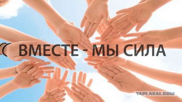 Итоги проверки пользователей