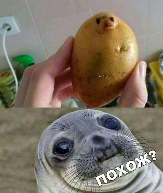 Нестандартный юмор
