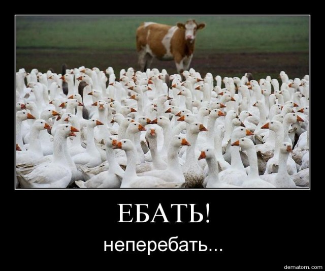 Эх, лето! Девчонок в купальниках и нижнем белье пост (без ню)