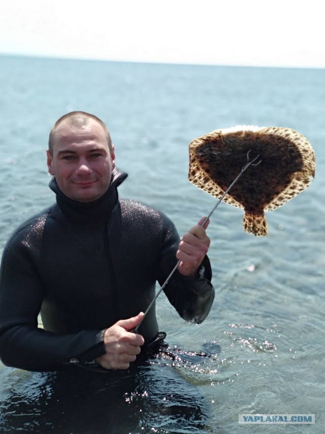 "Грязевые добавки". Море в Геленджике стало коричневым из-за фекалий