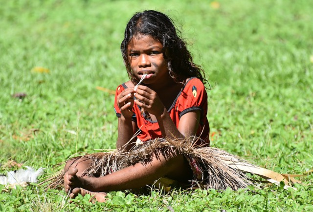 Папуа-Новая Гвинея (На лицо ужасные, добрые внутри)