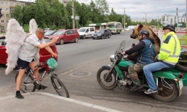 Лента прикольных картинок