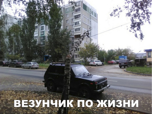 Нестандартный юмор