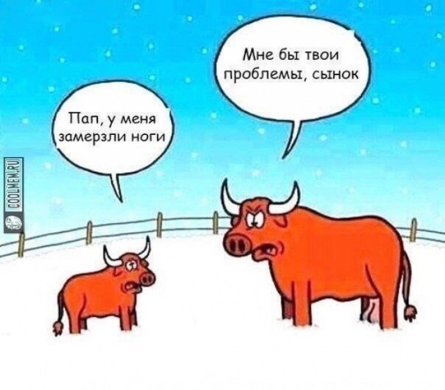 По глубокому снежку