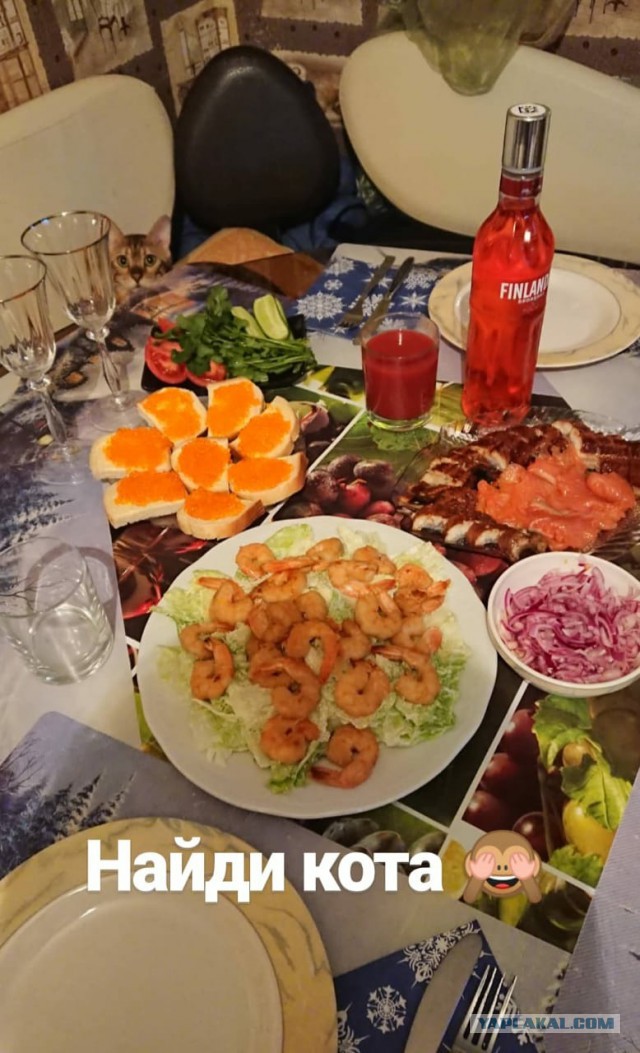 С Днём кошки!