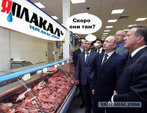 Битва Фотожаберов №5