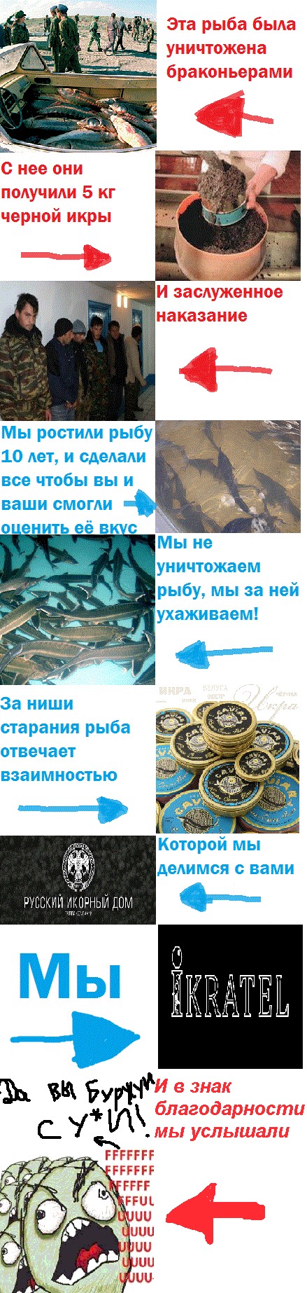 Конкурс на лучшую фотожабу против браконьеров.
