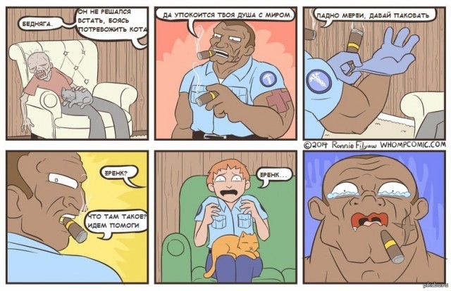 Девять причин, почему вам срочно надо завести кота