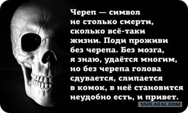 Бредзона