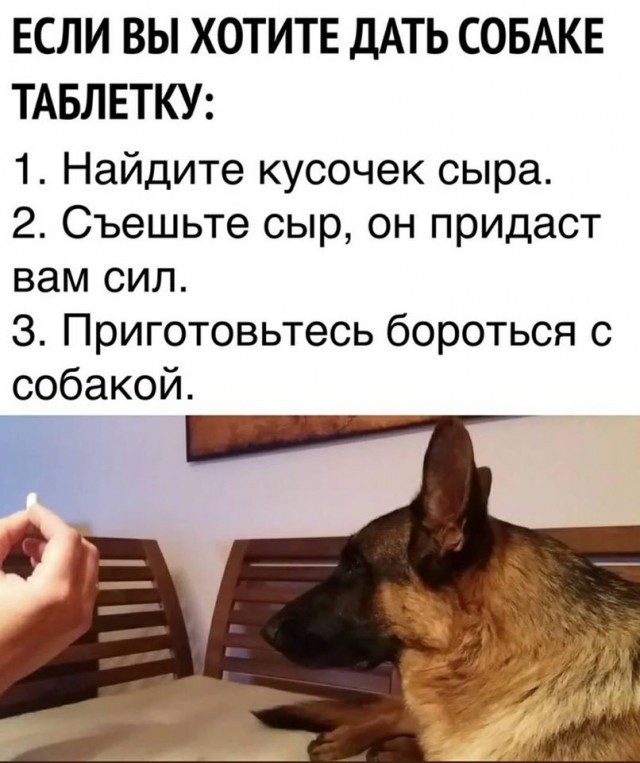Бредзона 03.07.20