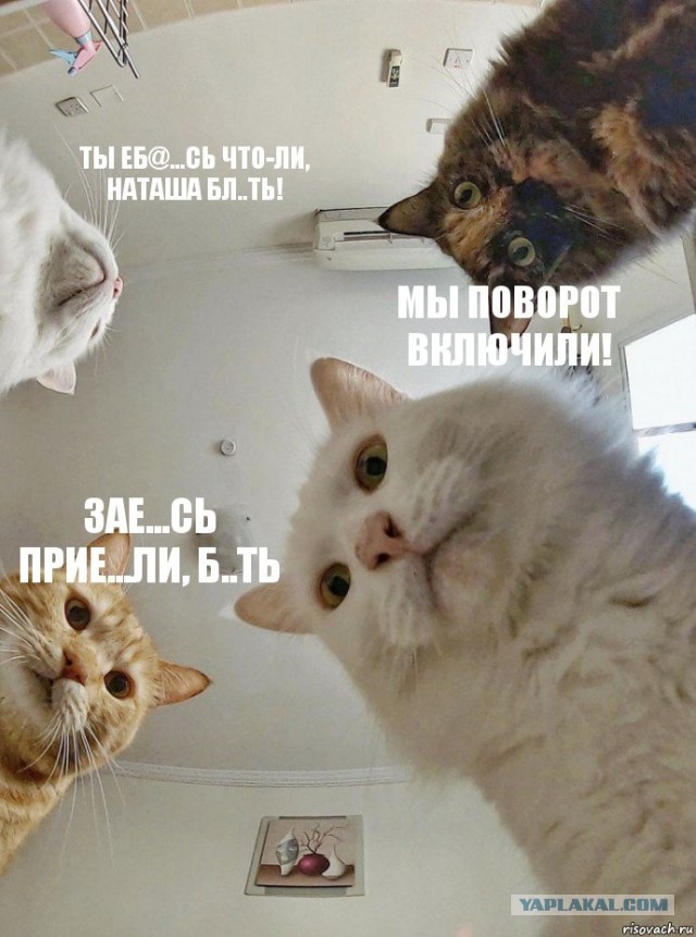 Ты еб@...сь что-ли, Наташа бл..ть!