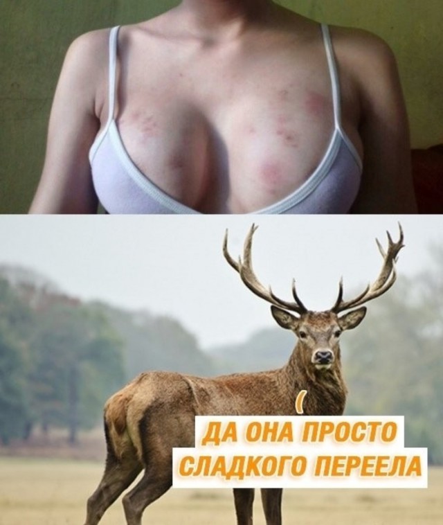 Друг жены, или один раз не считается