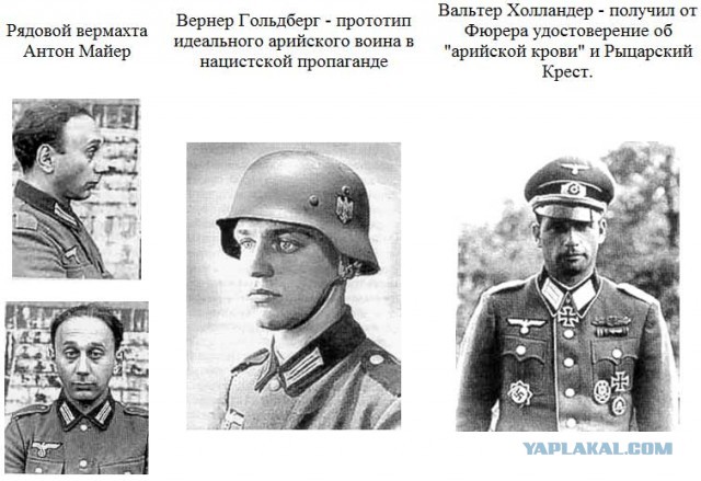Питерский учёный считает, что «Холокоста в том объёме просто не было»