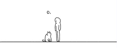 Котэ попрошайкэ