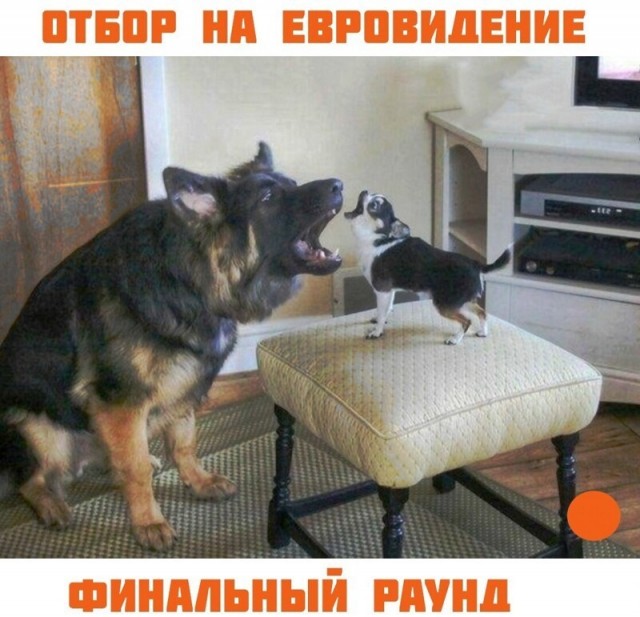 Картинки и мемы для настроения