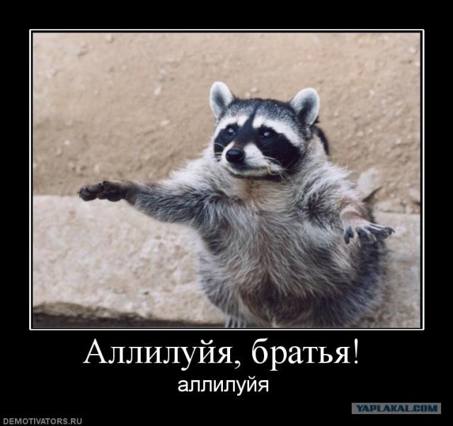 Колясочница на эскалаторе