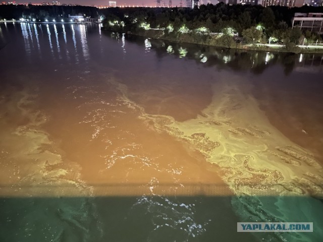Днепр впадает в Черное Море