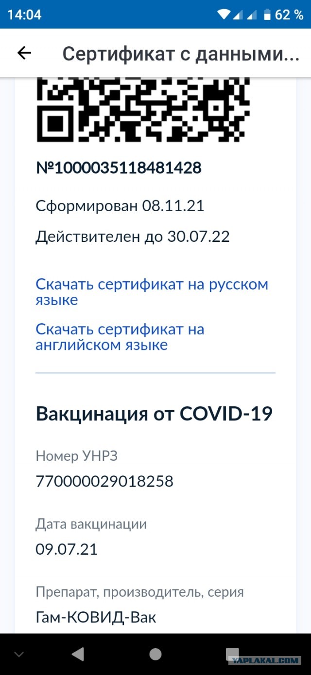 QR-коды сотен екатеринбуржцев оказались просрочены из-за обновления на «Госуслугах»