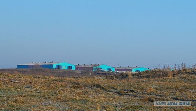 Как белорусский городок к съезду банкиров готовили