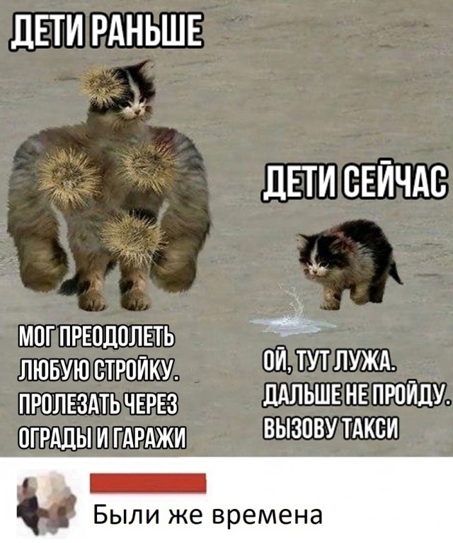 Так себе картинки 11.11.21