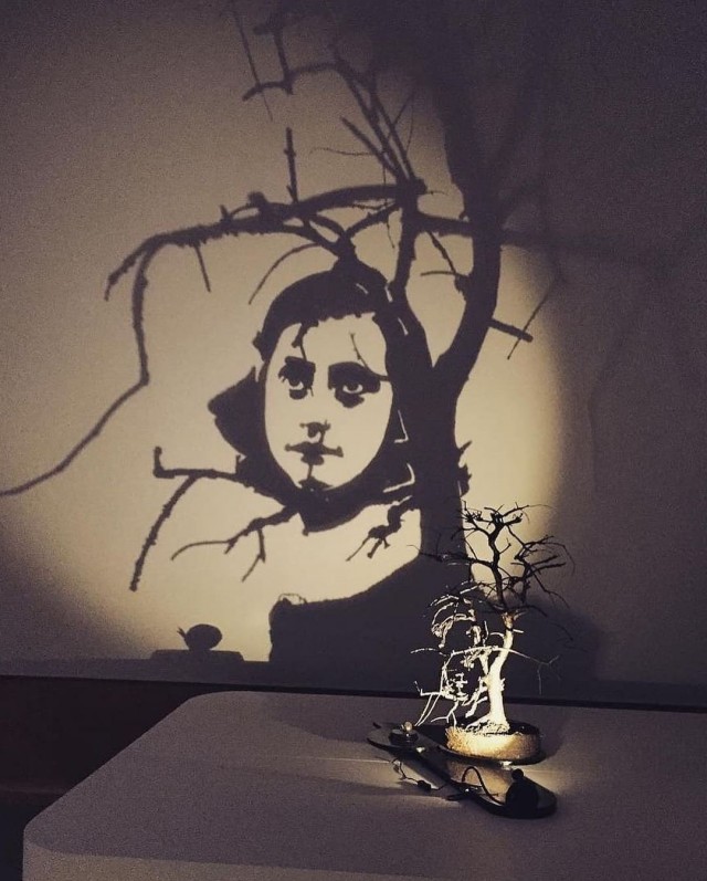 Работа с тенью или Shadow Art Installations