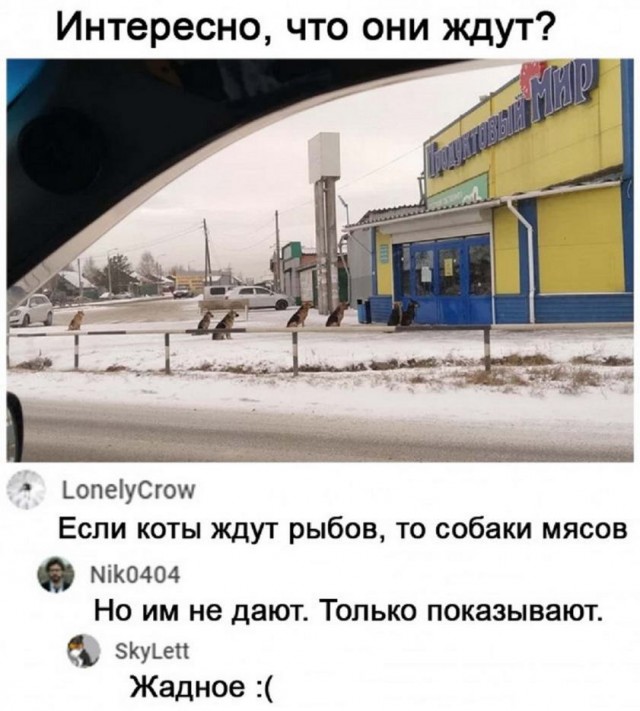 Картинки и мемы всем прекрасных выходных