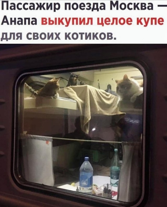 Чуток картинок 20.02.22