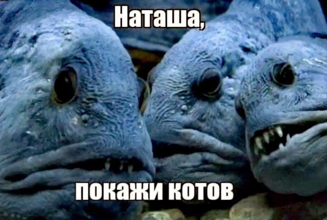 40 картинок разных 14.03.2022